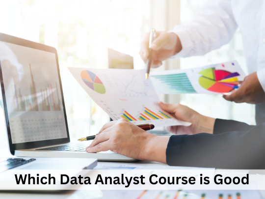 Read more about the article Which Data Analyst Course is Good?